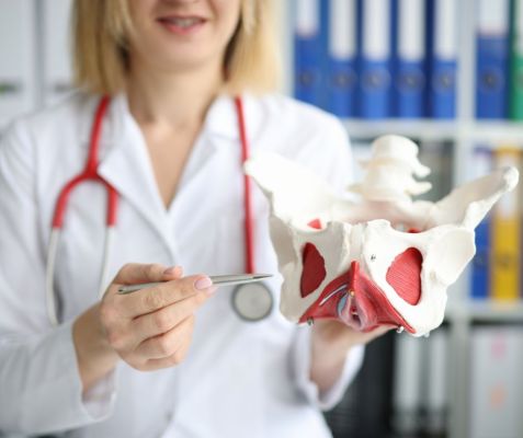 การผ่าตัดข้อสะโพก