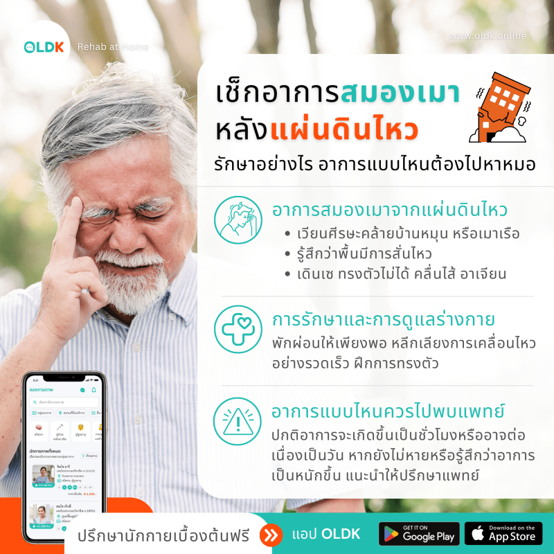 สมองเมาแผ่นดินไหว